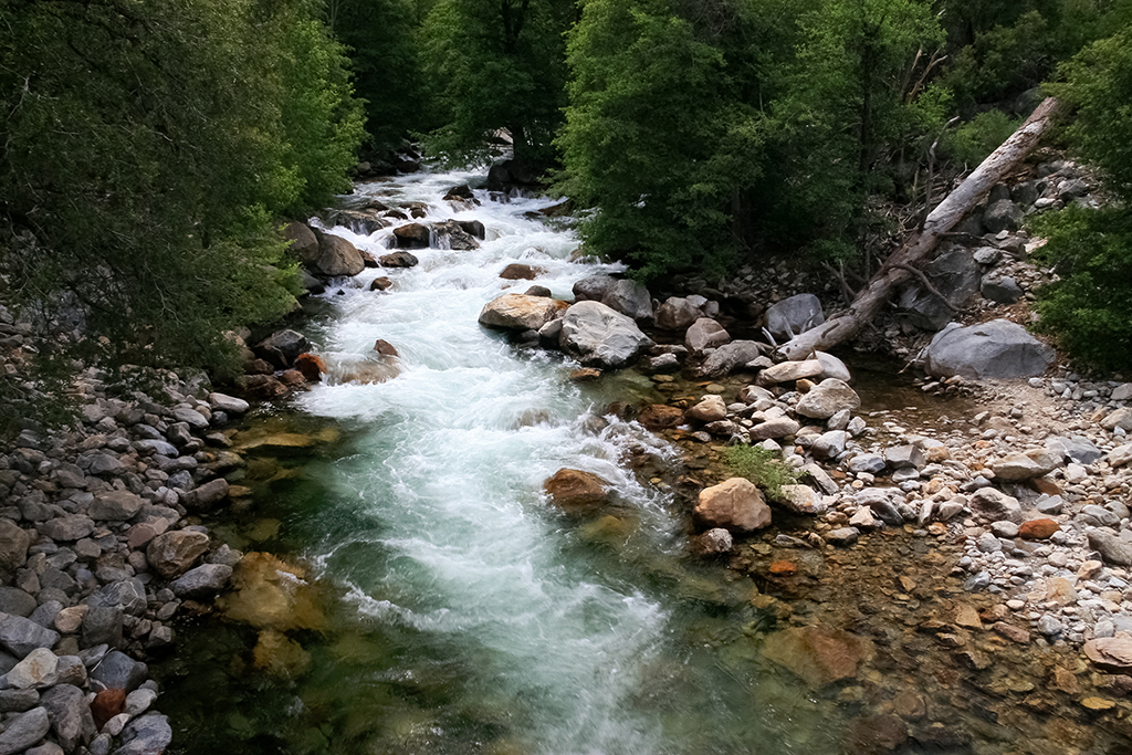 07-04 - 02.JPG - Kings Canyon National Park, CA